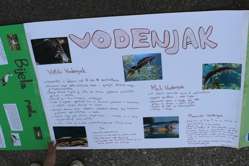 flashmobpribislavec201614651543