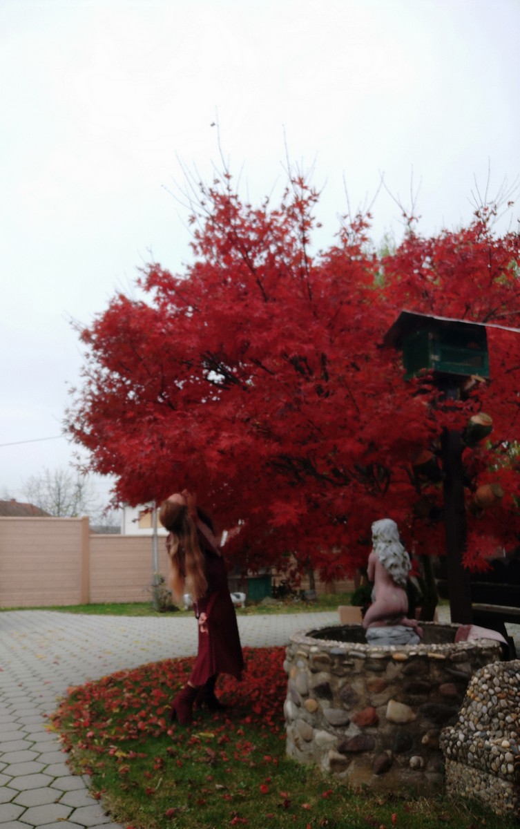 Dvorište Maje Mlakar