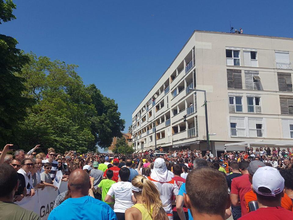 1310345313510650182426353481094