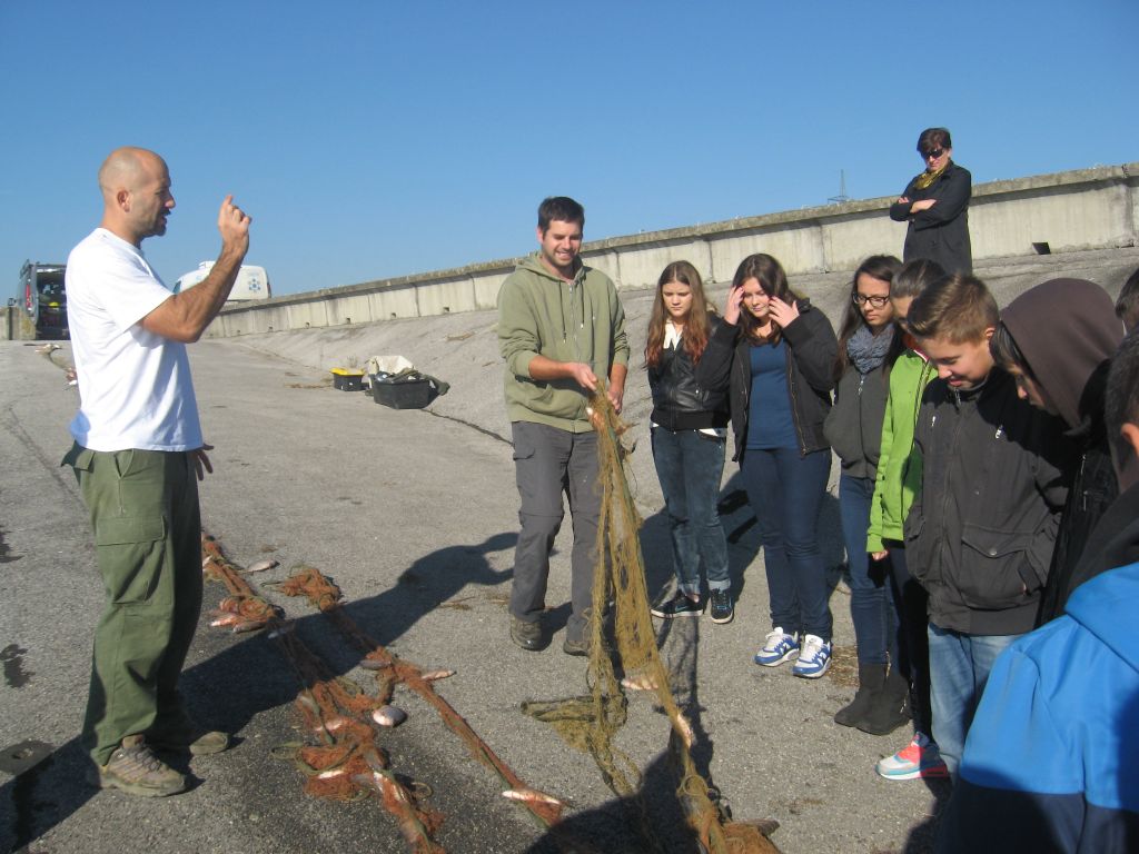 151112monitoring18208743