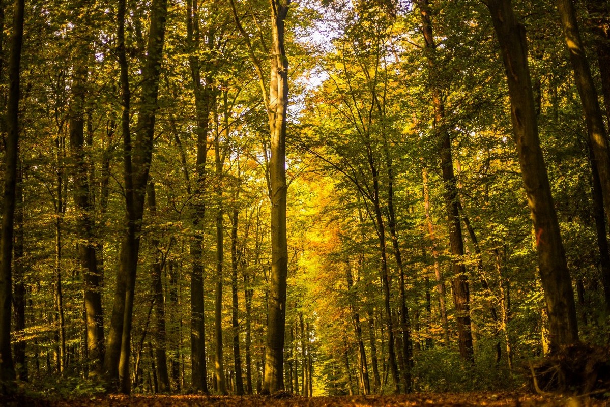 Jesenska rapsodija kroz objektiv Miroslave Novak