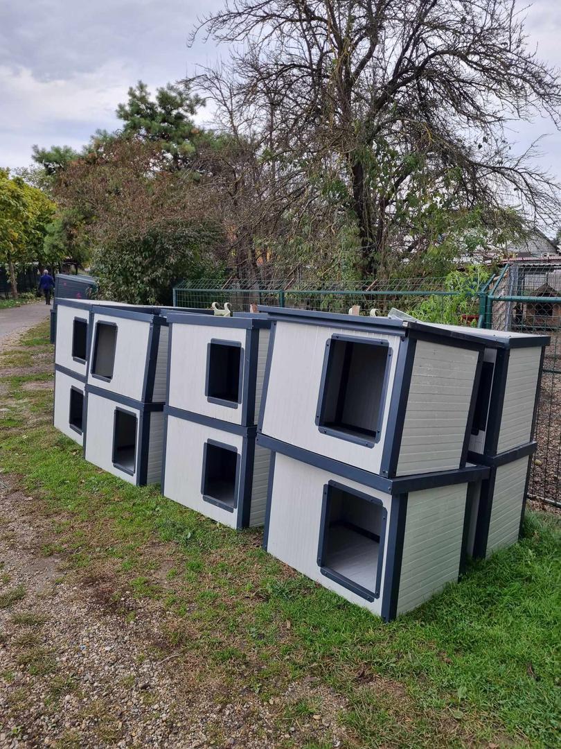 AZIL ‘PRIJATELJI’ ČAKOVEC Volonteri su im velika pomoć u skloništu, a stižu i iz Čilea