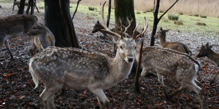 aeb4594623fff9e704a479074b865f7