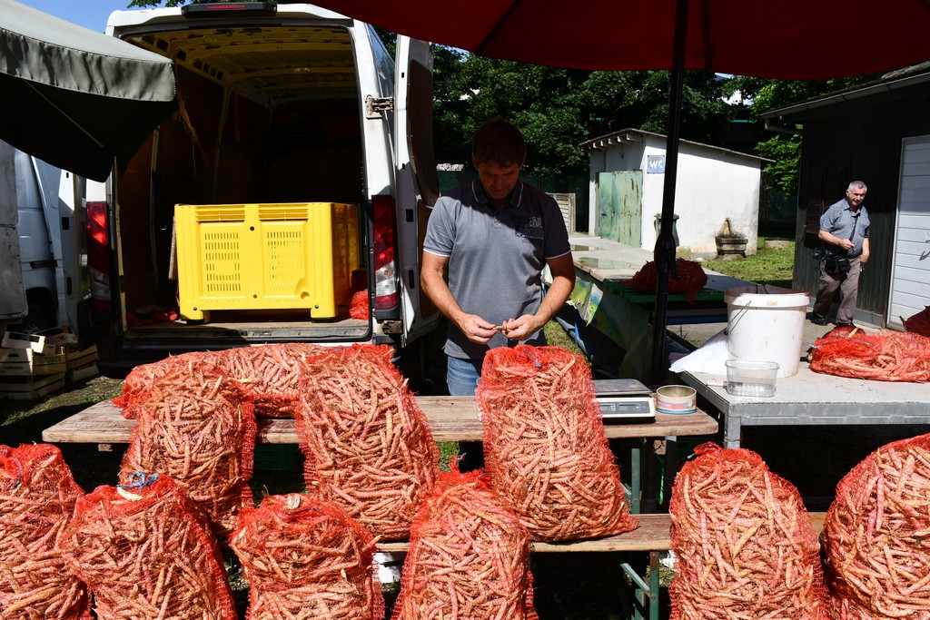 SAJAM U ČAKOVCU Sajam je preplavilo obilje svježeg voća i povrća