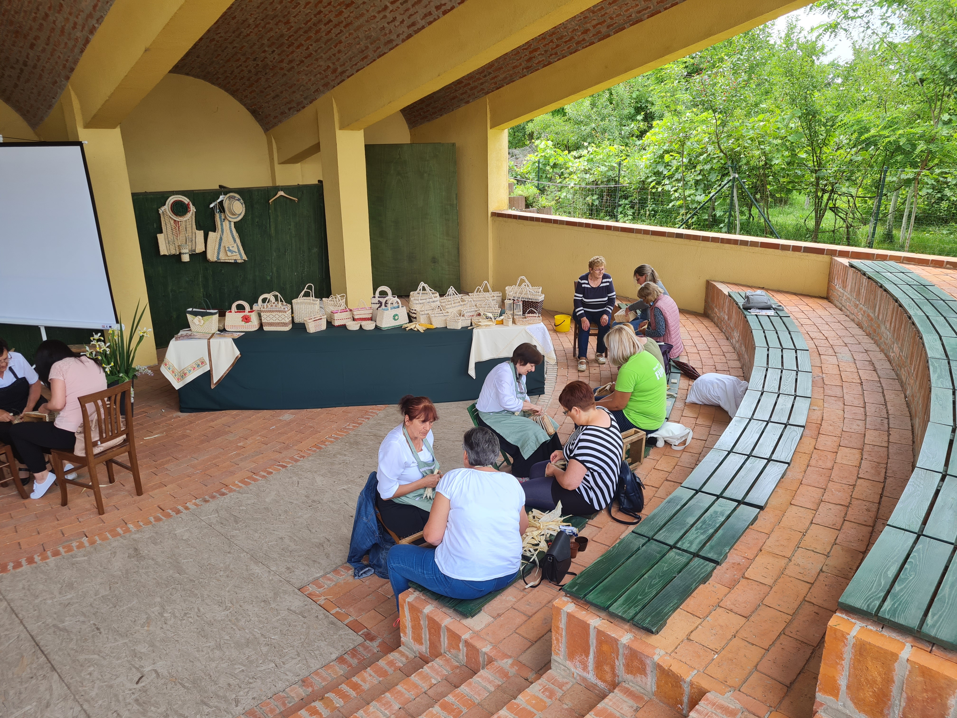 Image 4962366 (auto)