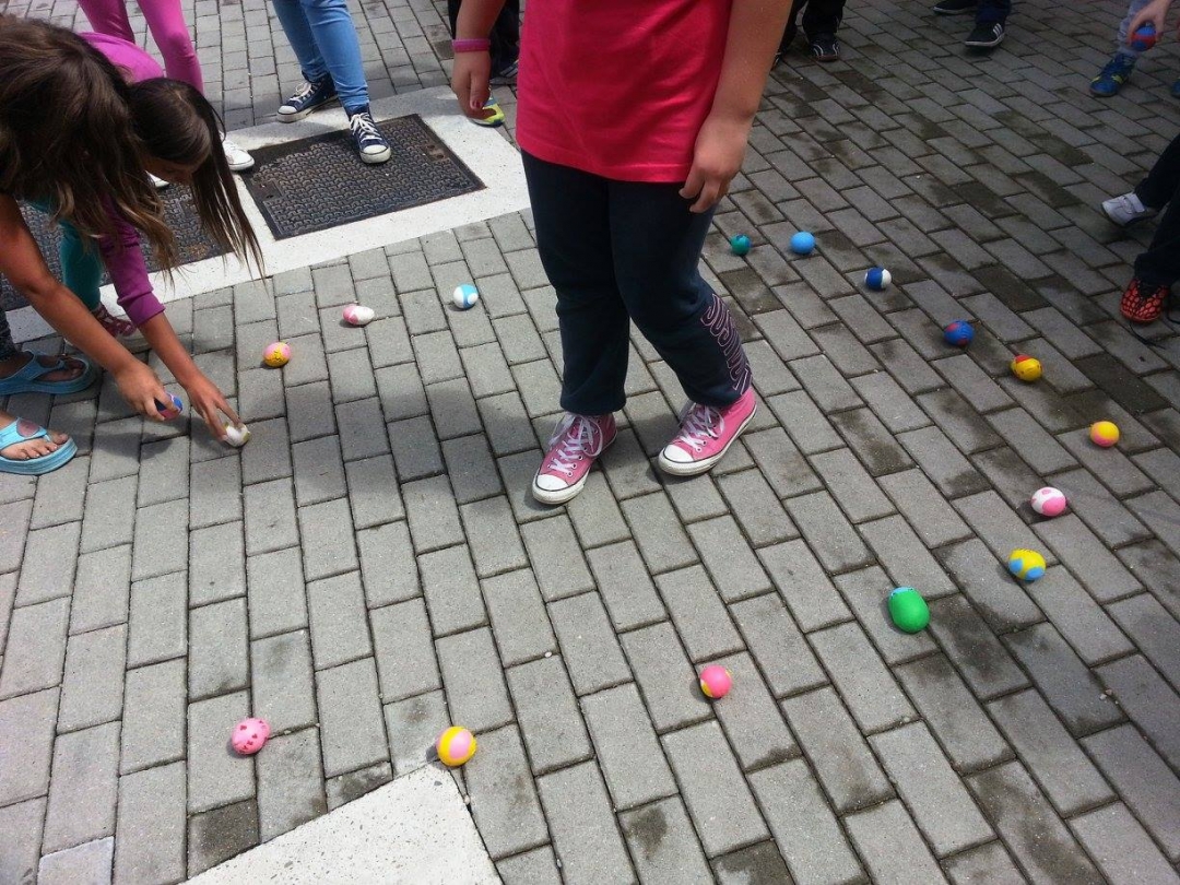 1556205102063434969381252359402