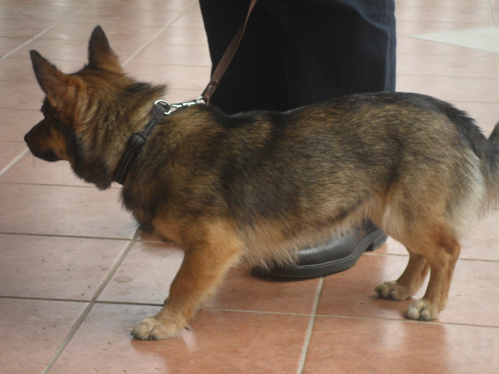 fotografija00015557004