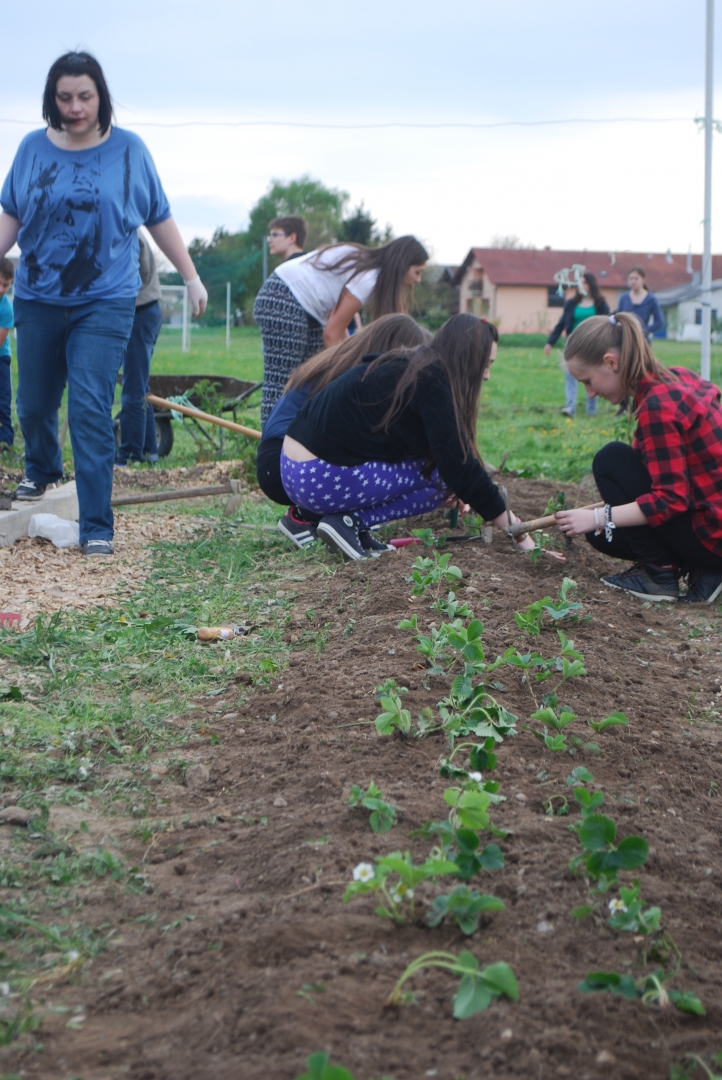 gredicasjagodamanikadprevisetoz