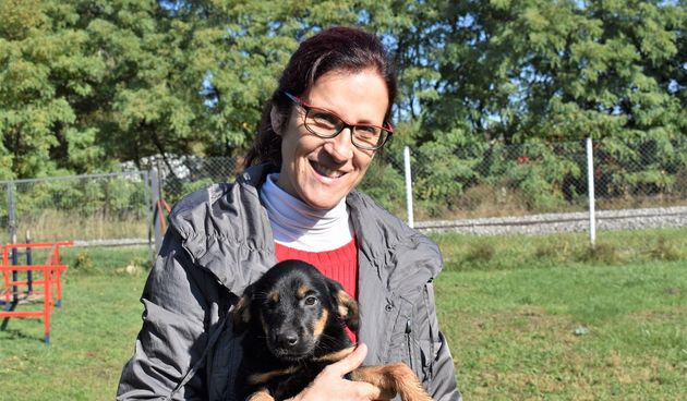 Azil Prijatelji Čakovec obilježio Svjetski dan zaštite životinja: Više od 500 pasa spremno je za udomljavanje!