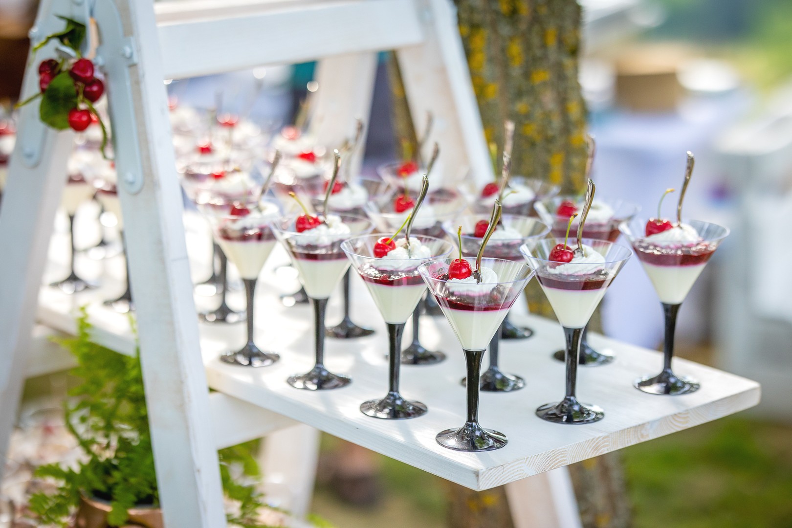 Štampar i Međimurje proslavili trijumf s Decantera