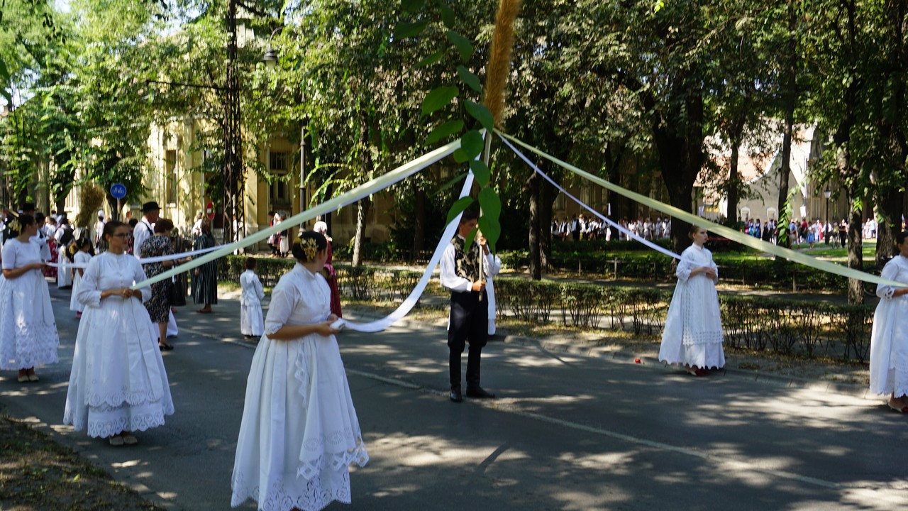 Međimurci na ‘Dužijanci’ u Vojvodini