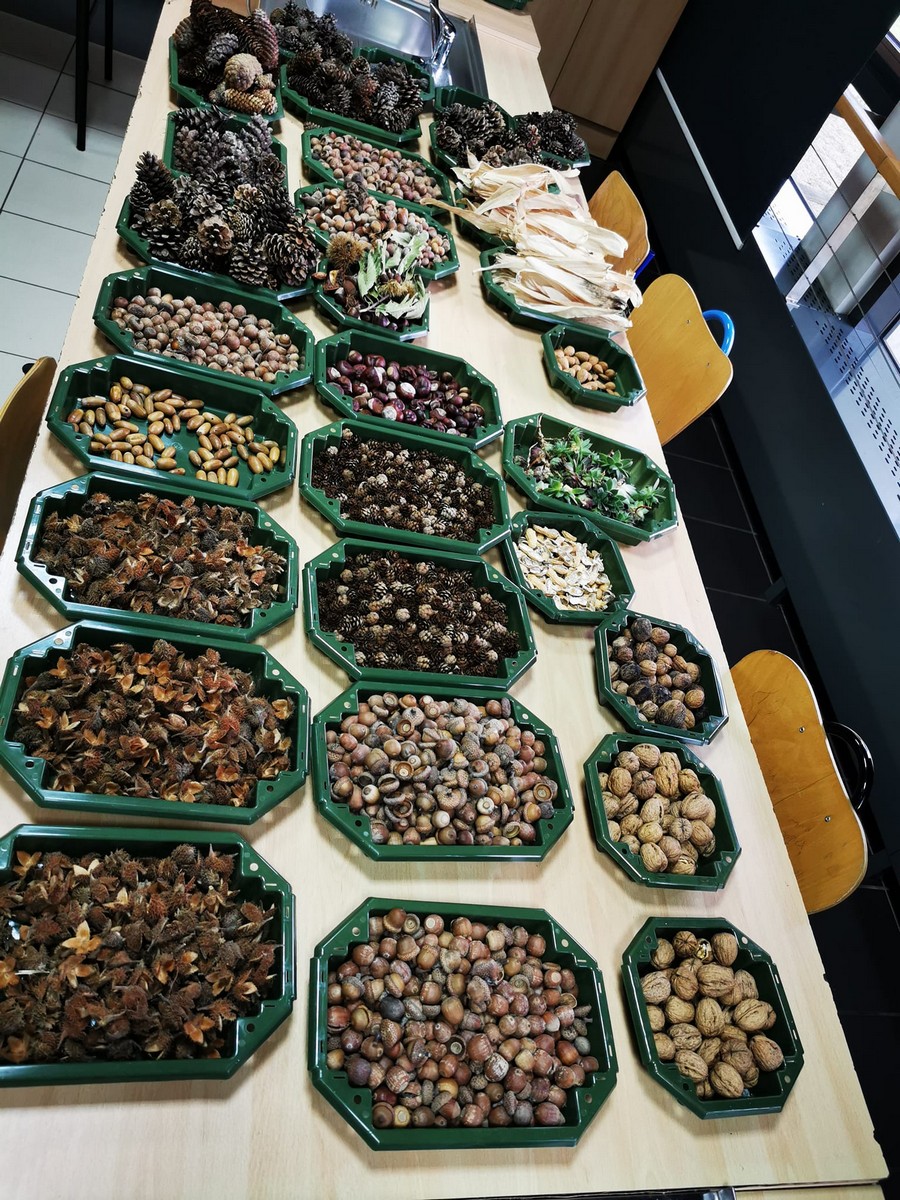 FOTO Profesorica Sabina Šegula iz Slovenije održala radionicu izrade adventskih dekoracija u Gospodarskoj školi Čakovec FOTO Profesorica Sabina Šegula iz Slovenije održala radionicu izrade adventskih dekoracija u Gospodarskoj školi Čakovec