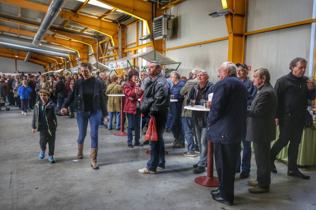 2351613810213458848922599196533