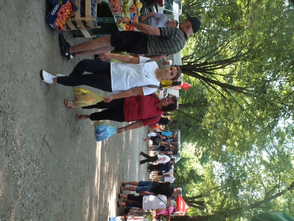 Image 5810909 (auto)