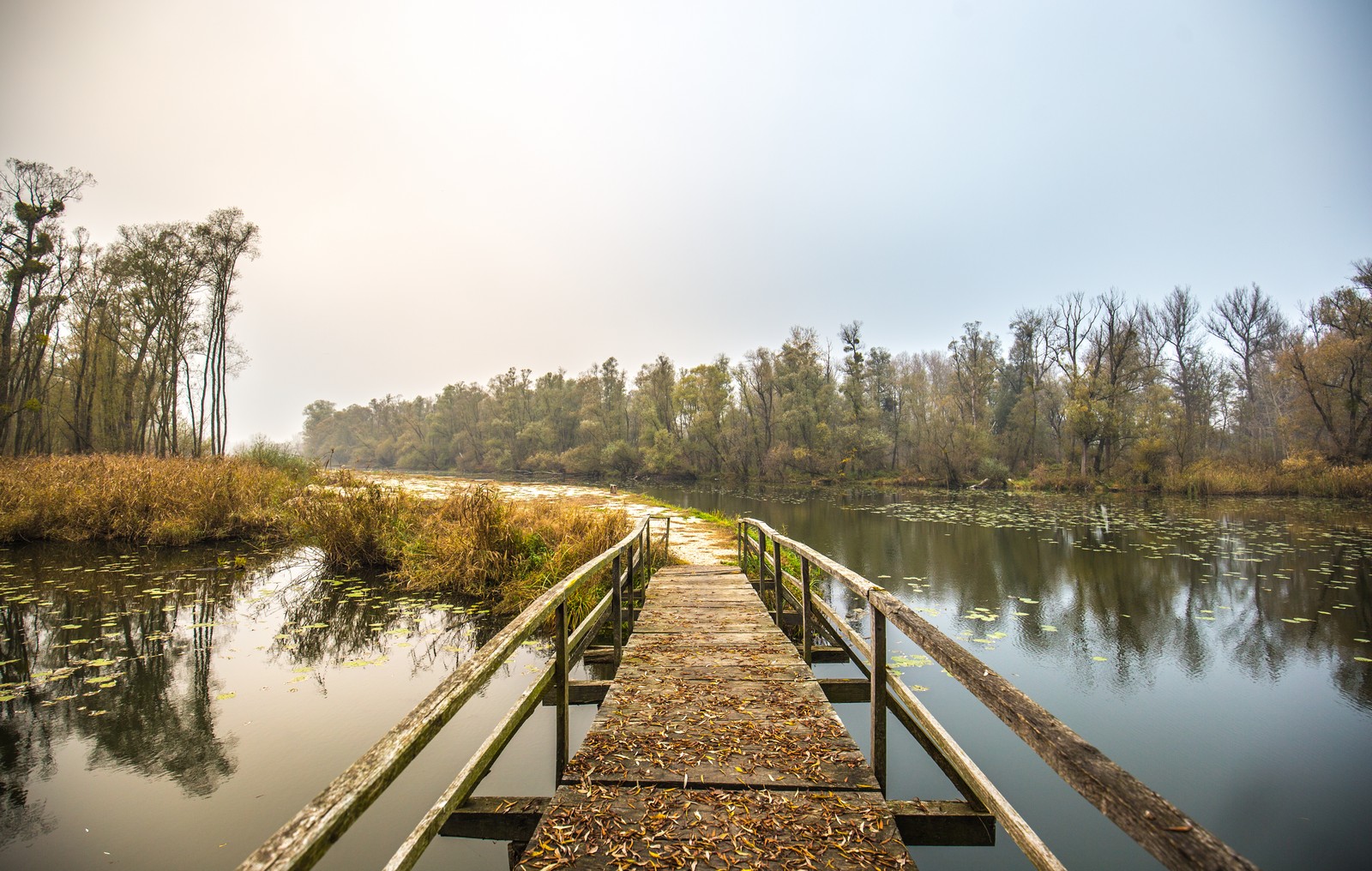 Međimurje se predalo jeseni