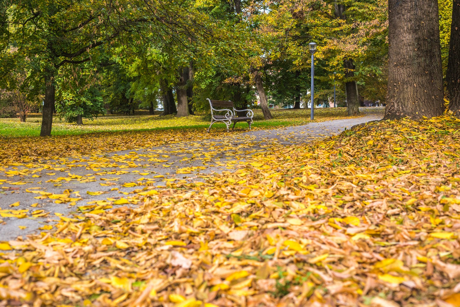 Čarobna jesen: Naša Miroslava Novak prošetala je čakovečkim parkom i snimila šarenilo jesenskih boja. Predivno, zar ne? (y) :-)