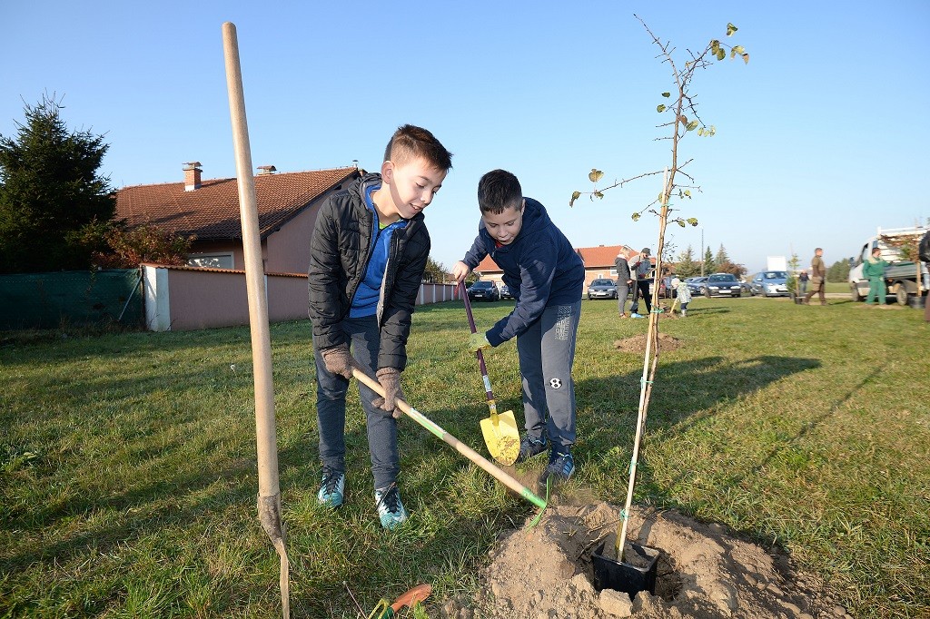 FOTO Velik broj građana subotnje prijepodne iskoristio za sadnju stabala u Čakovcu