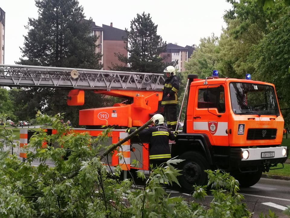 U Čakovcu se srušilo stablo