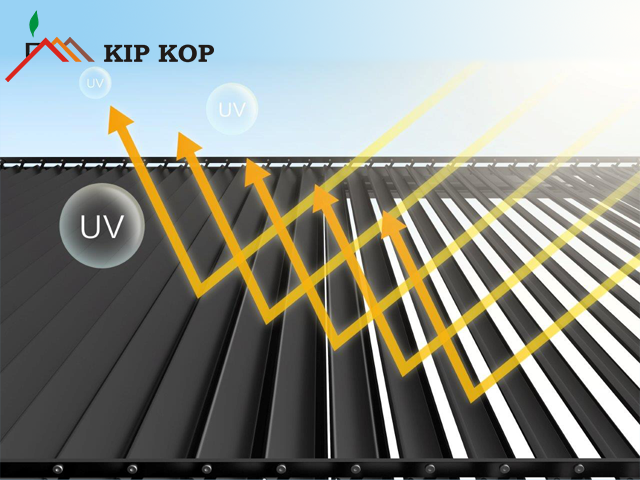 Image 5740847 (auto)