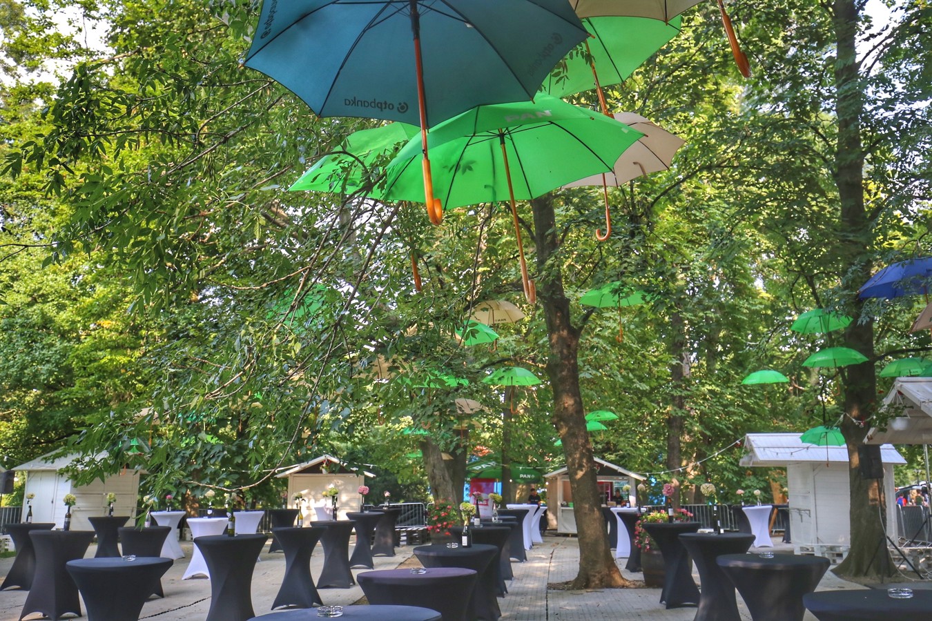 VinoGrad – neodoljiv svijet međimurskih vina na Porcijunkulovom