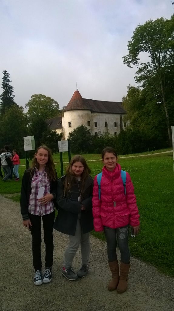 wp20151017105412pro420783