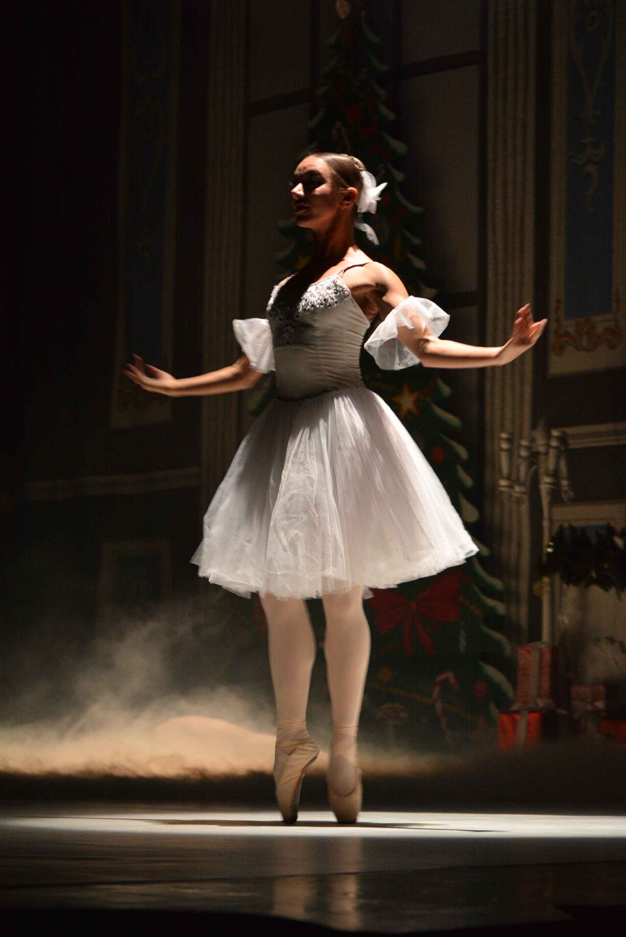 FOTO/VIDEO Spektakularna izvedba ‘Orašara’ – Ukrainian classical ballet oduševio čakovečku publiku FOTO/VIDEO Spektakularna izvedba ‘Orašara’ – Ukrainian classical ballet oduševio čakovečku publiku