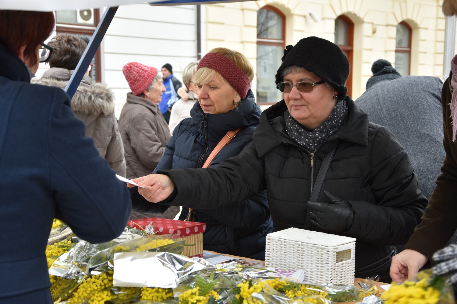 Dan mimoza u Čakovcu