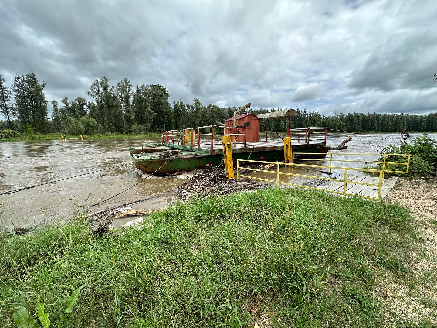 PODTUREN Ponovno problemi s Murom, veliko drvo prijetilo skeli