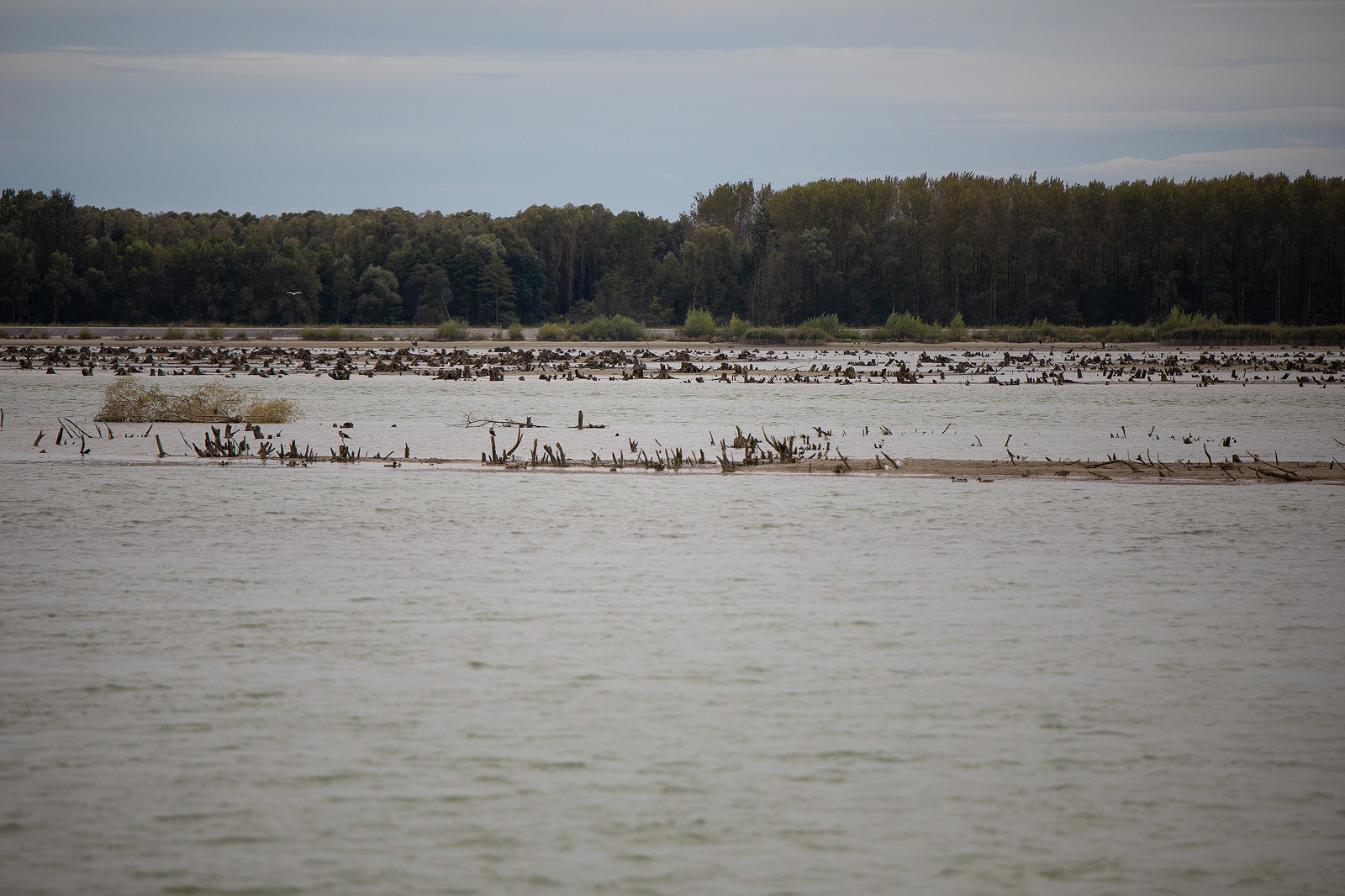 KLIKOM PO MARINI Prohladna nedjelja na preloškoj Marini, evo koga smo sve sreli