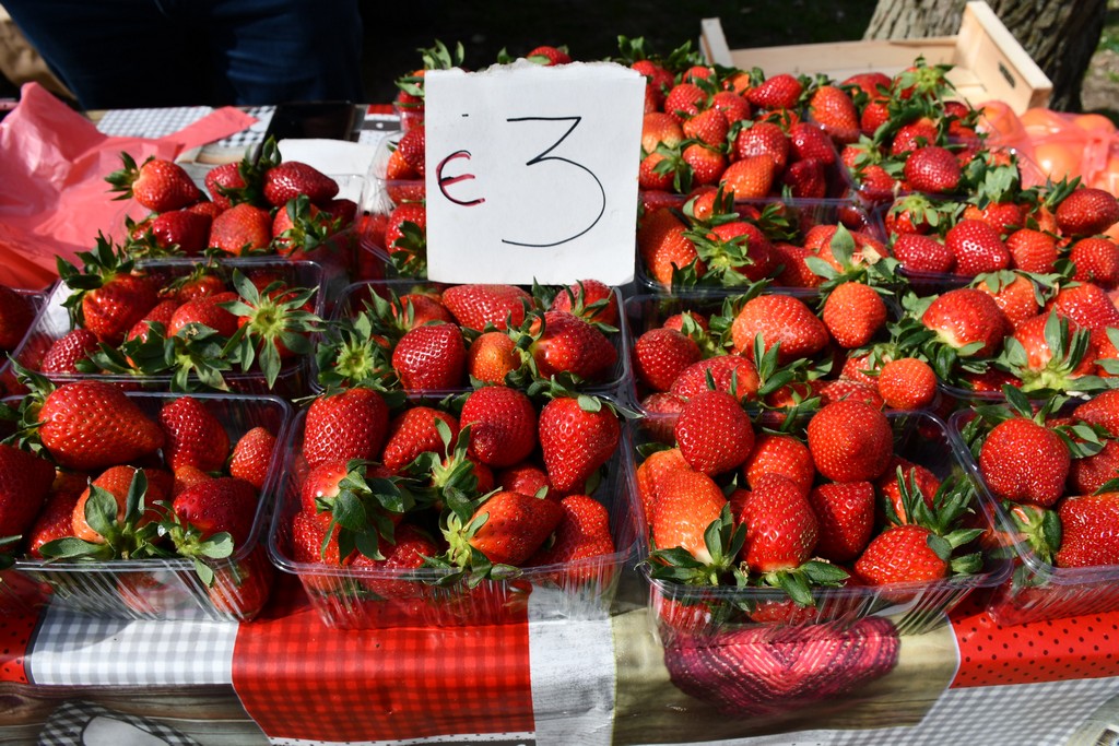 S dolaskom proljeća i toplijih dana živnuo je i čakovečki sajam