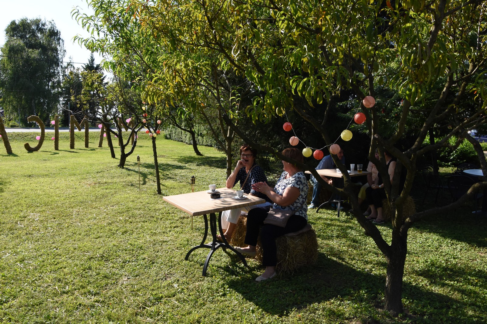 Mamičina žetva u Pušćinama