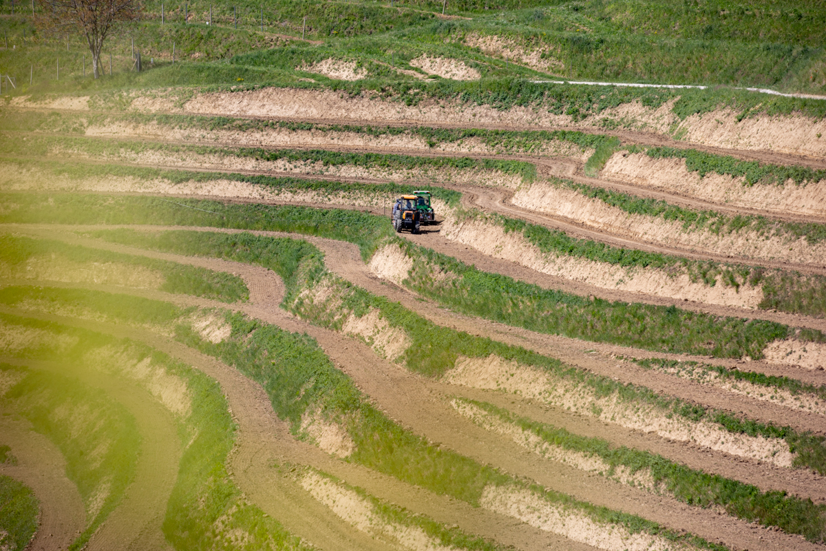 Vinarija Štampar na Mađerkinom bregu zasadila 14 tisuća čokota Pušipela