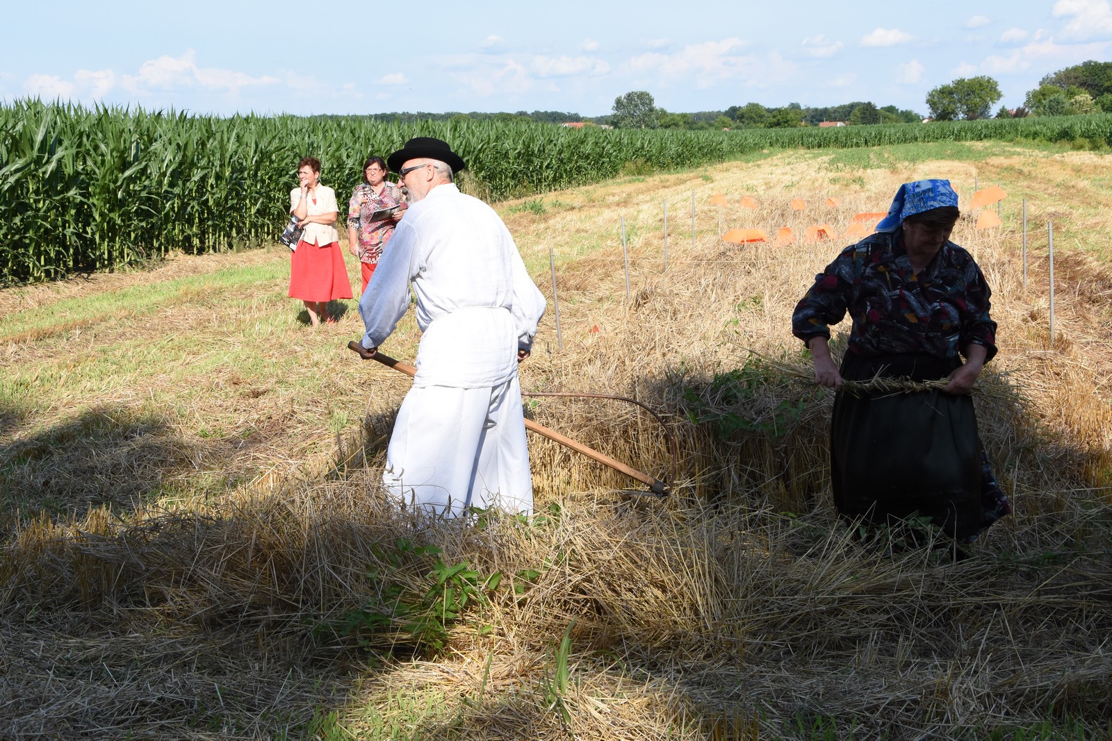 Mamičina žetva u Pušćinama