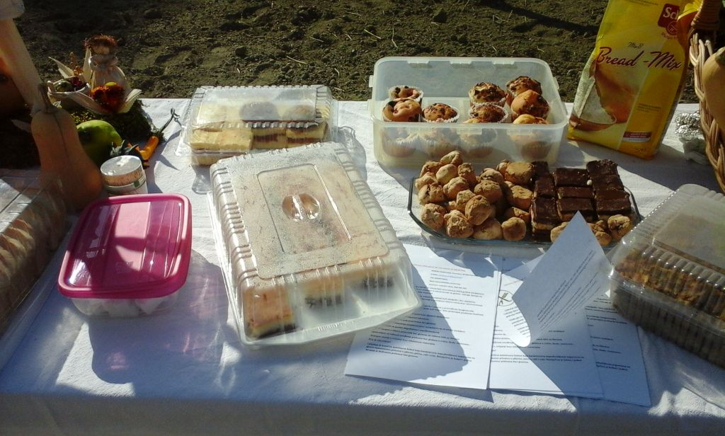 20151004103516546311