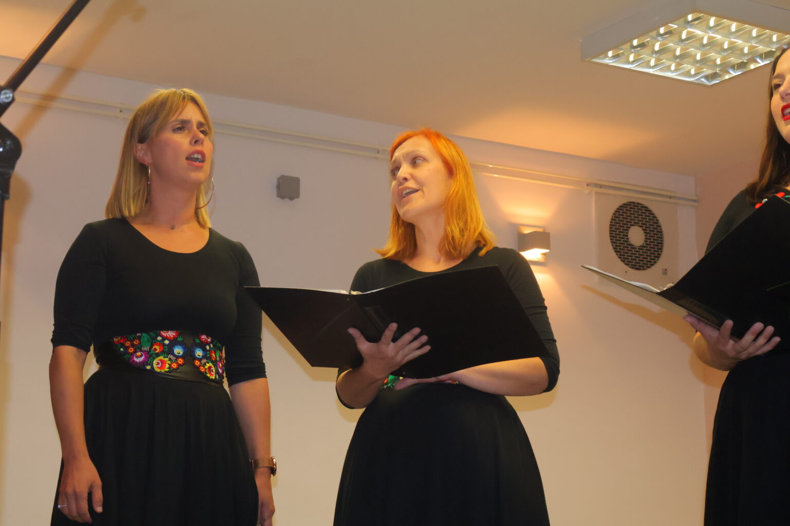 SVEČANO I VESELO Dan mjesta Mihovljan