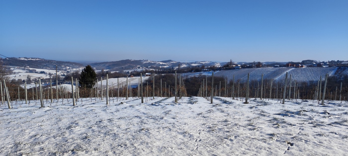 Vincekovo po Štrigovskim bregima, Štrigova, Vincekovo 2024.