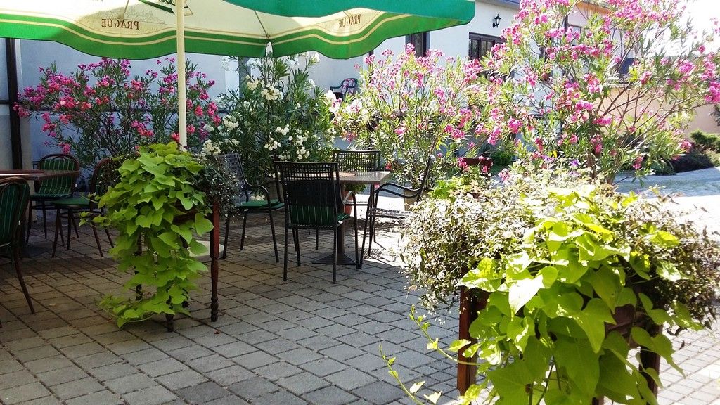 20150722101953911233