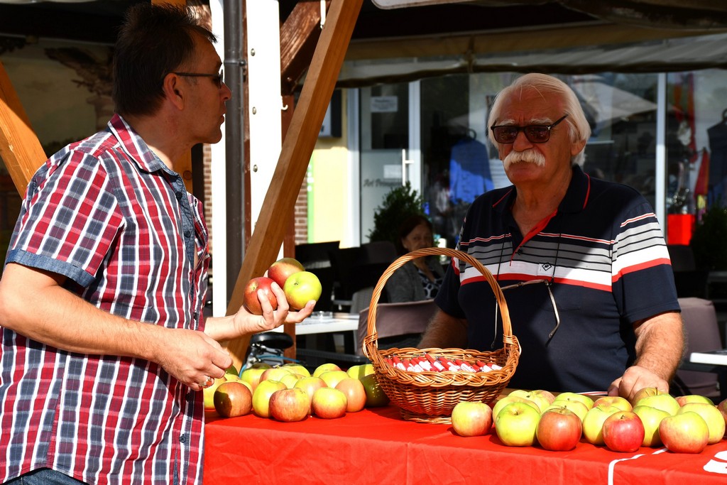 Forum seniora SDP-a obilježio Međunarodni dan starijih osoba