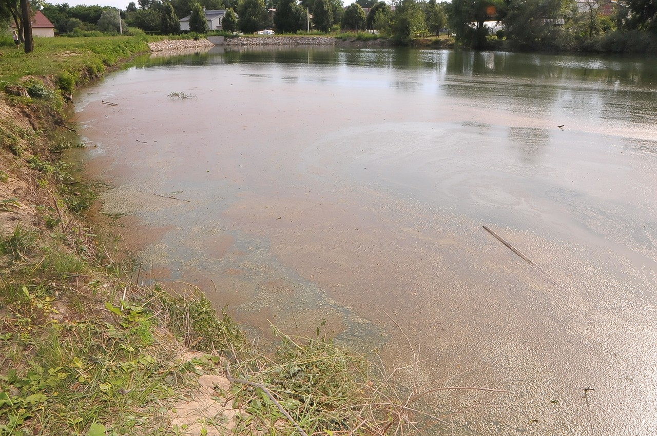 Mačkovčani ogorčeni crpljenjem vode iz Martice