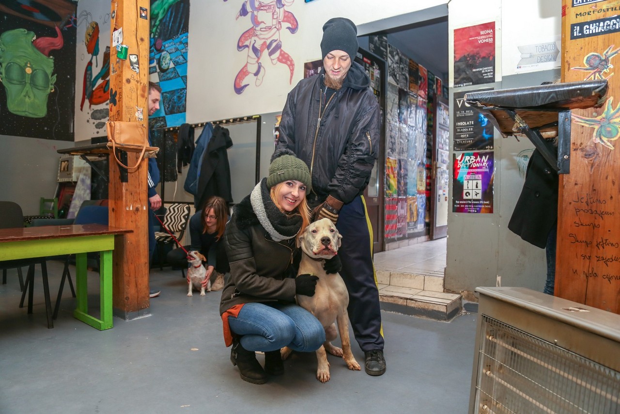 Humanitarno fotkanje s ljubimcima za pomoć azilu Prijatelji Čakovec