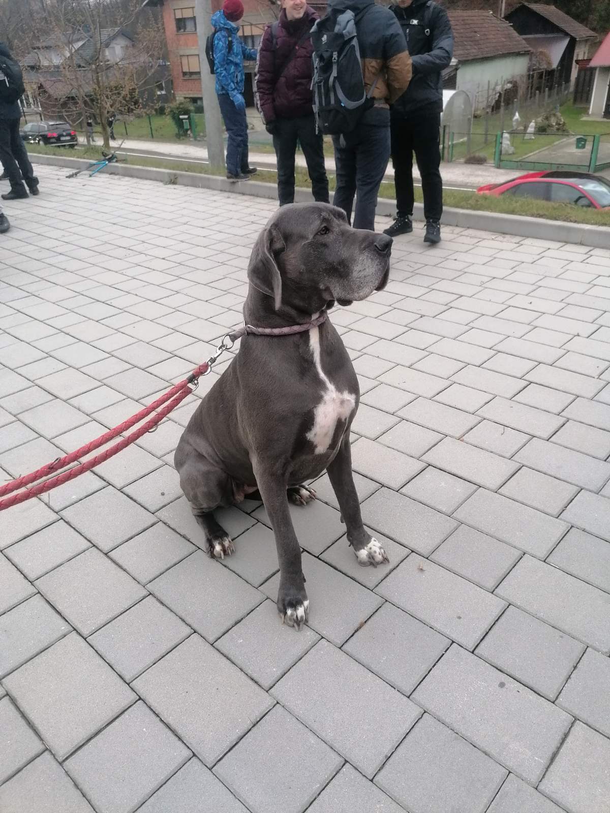 Vincekovo po štrigovskim bregima