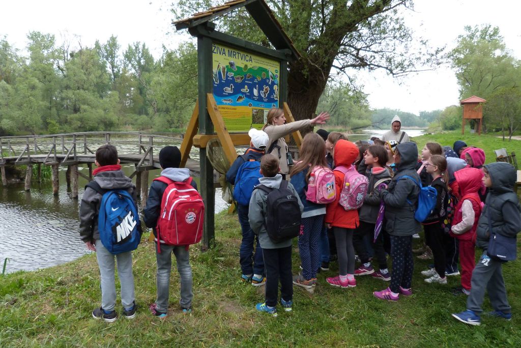 1817564910209135426964290167236