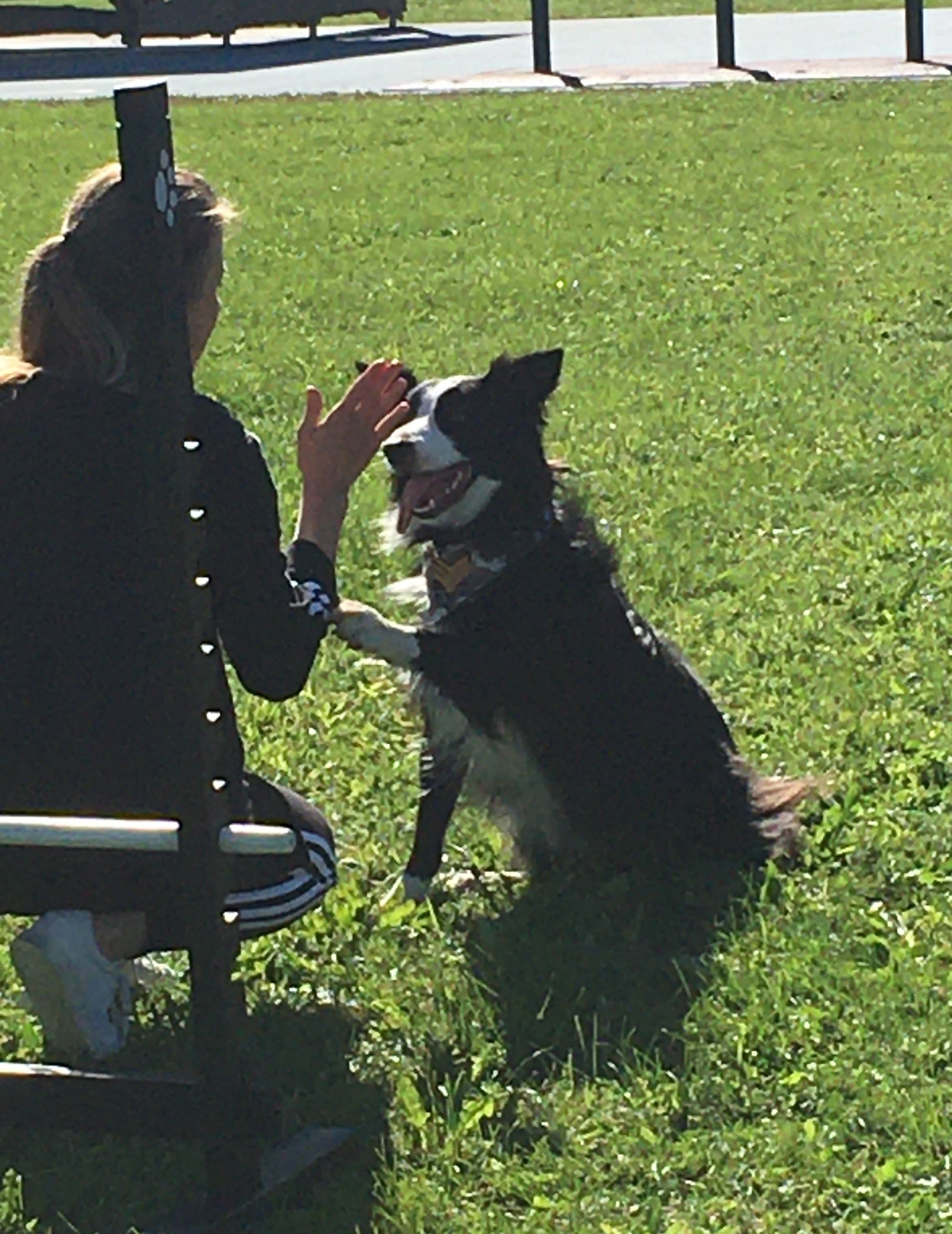 OŠ Tomaša Goričanca Mala Subotica – pas Tesla