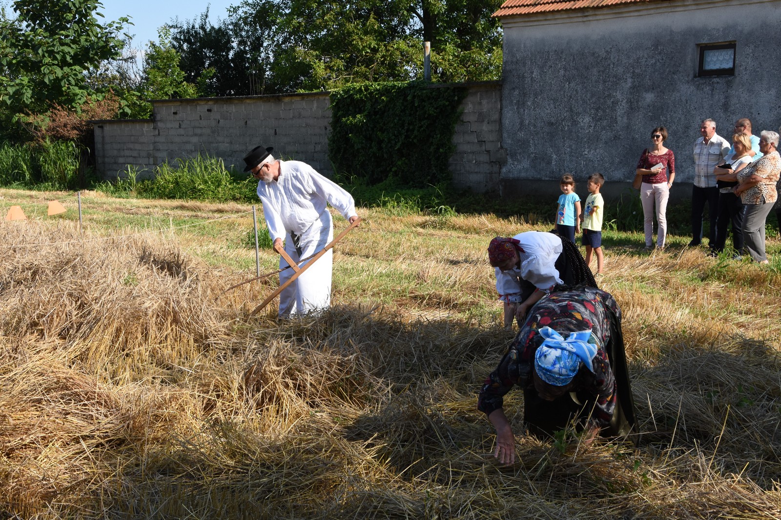 Mamičina žetva u Pušćinama