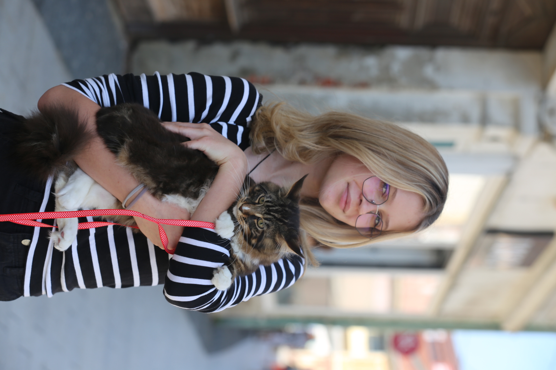 KLIKOM PO ČAKOVCU Ugodna i topla ljetna subota izmamila šetače na ulice