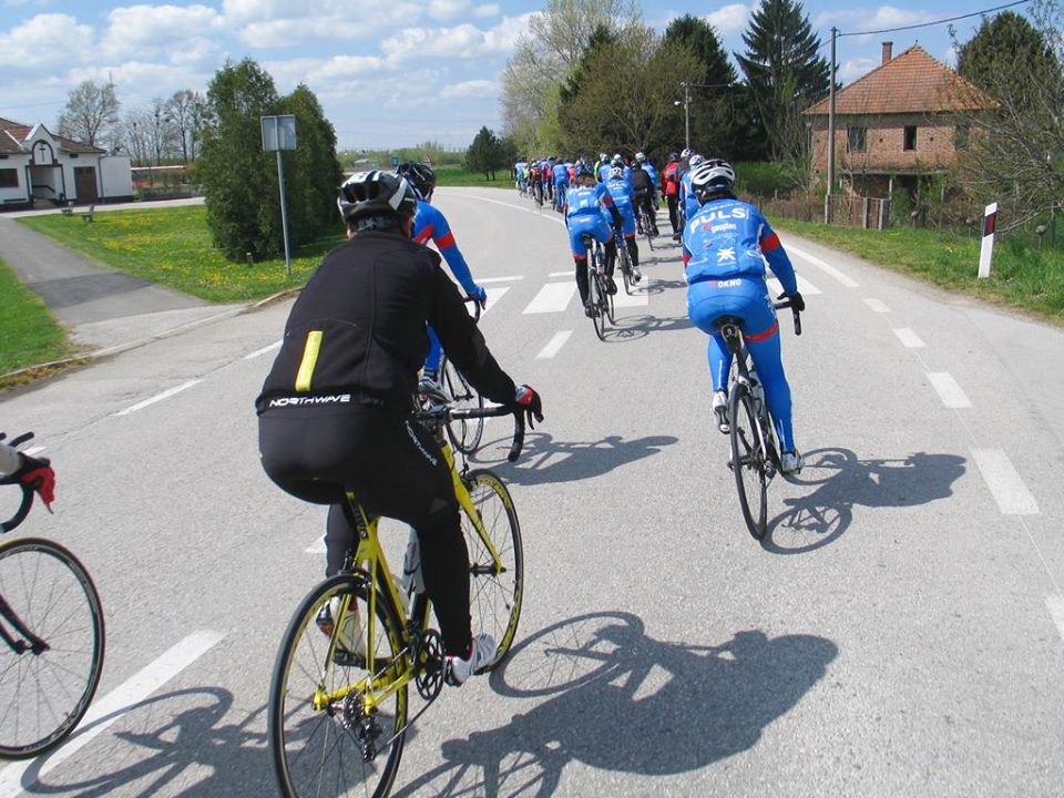 1506910102029432665417336493253