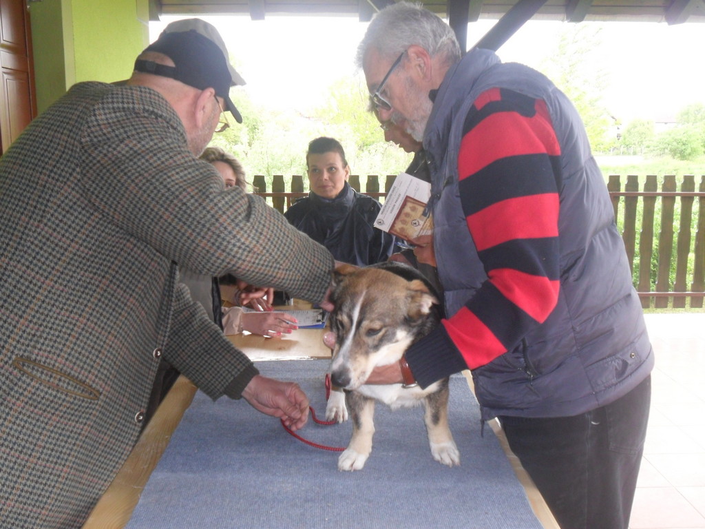 fotografija00003270844