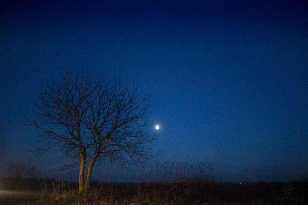 1259364010207587671666837592016