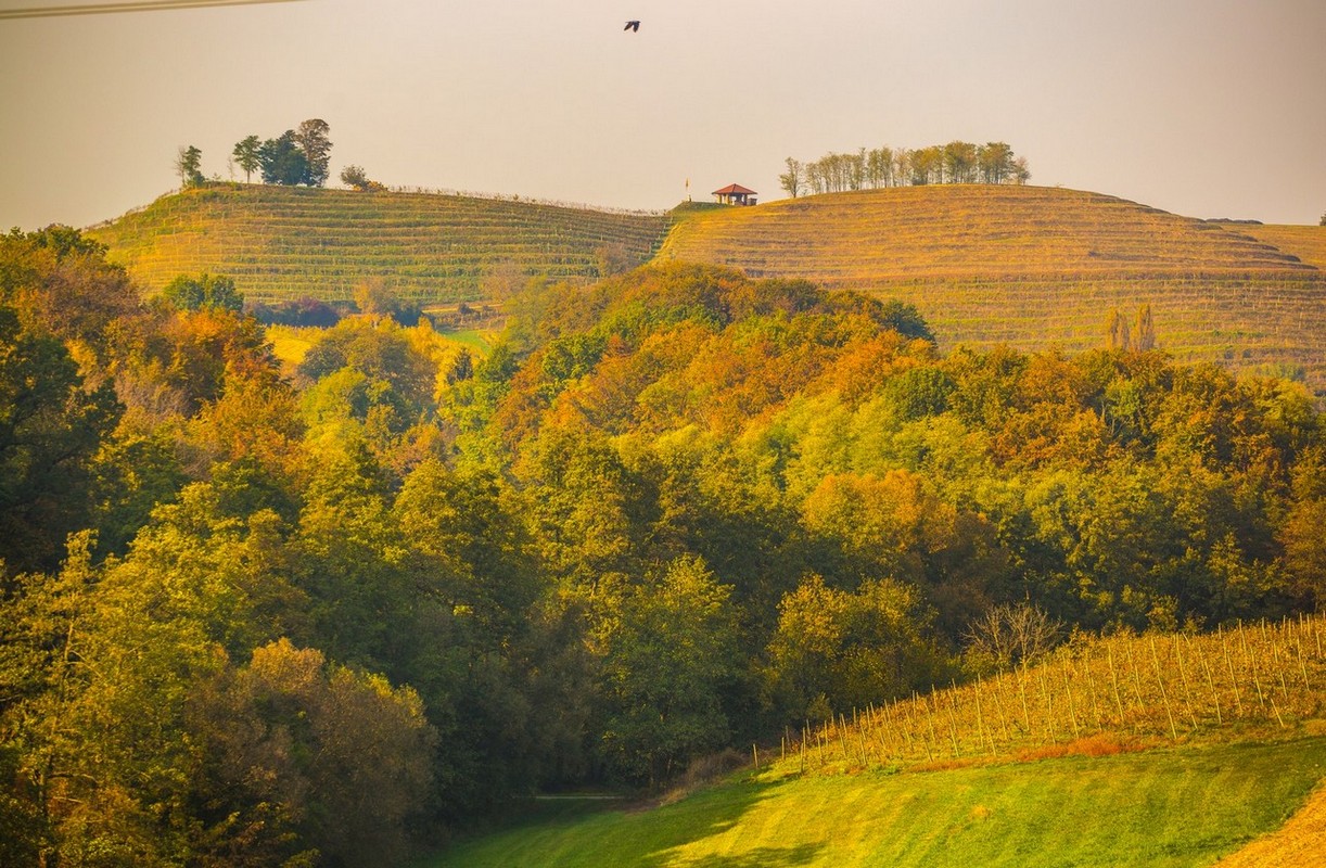 Jesenska rapsodija kroz objektiv Miroslave Novak