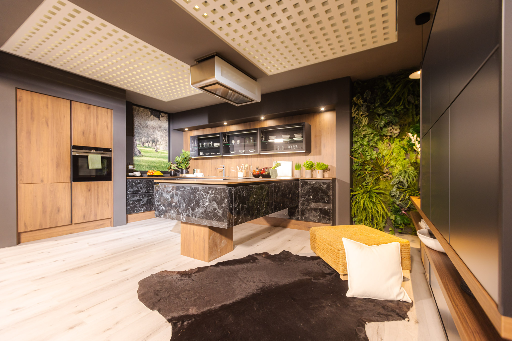 Image 5928473 (auto)